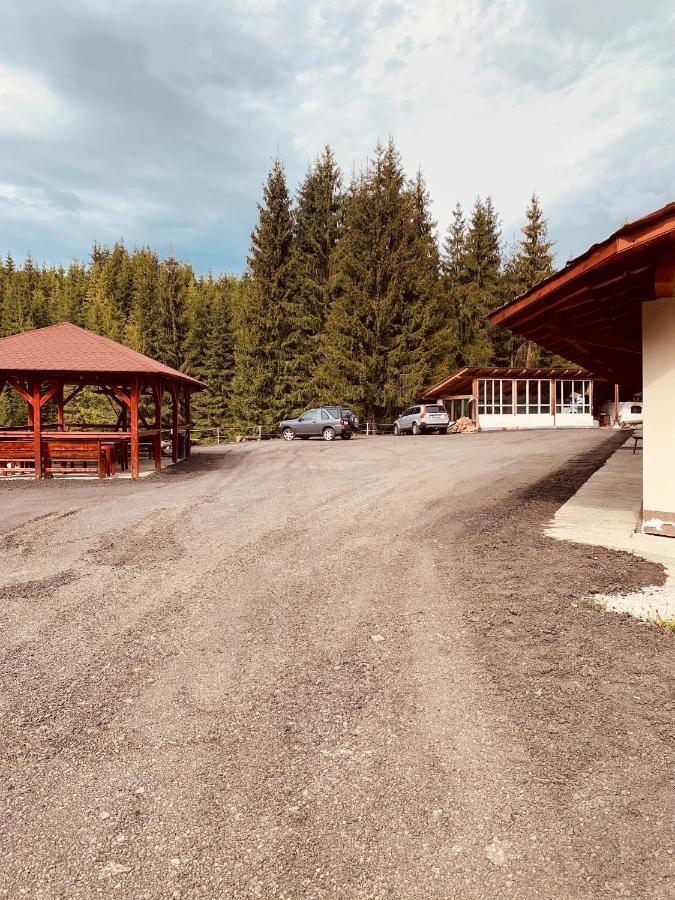 Cabana Cerbul-Oasa-Transalpina Ciban Ngoại thất bức ảnh