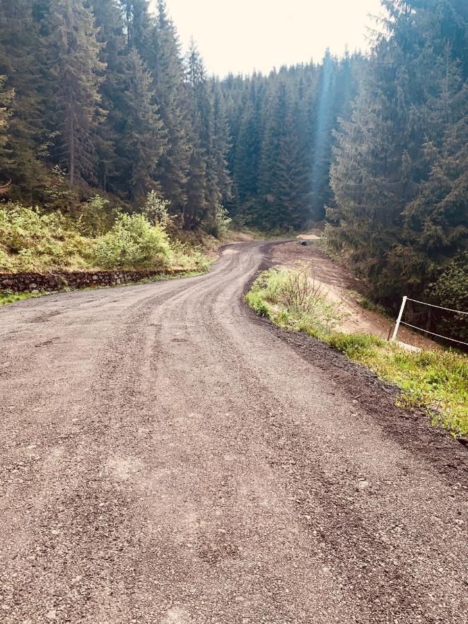 Cabana Cerbul-Oasa-Transalpina Ciban Ngoại thất bức ảnh