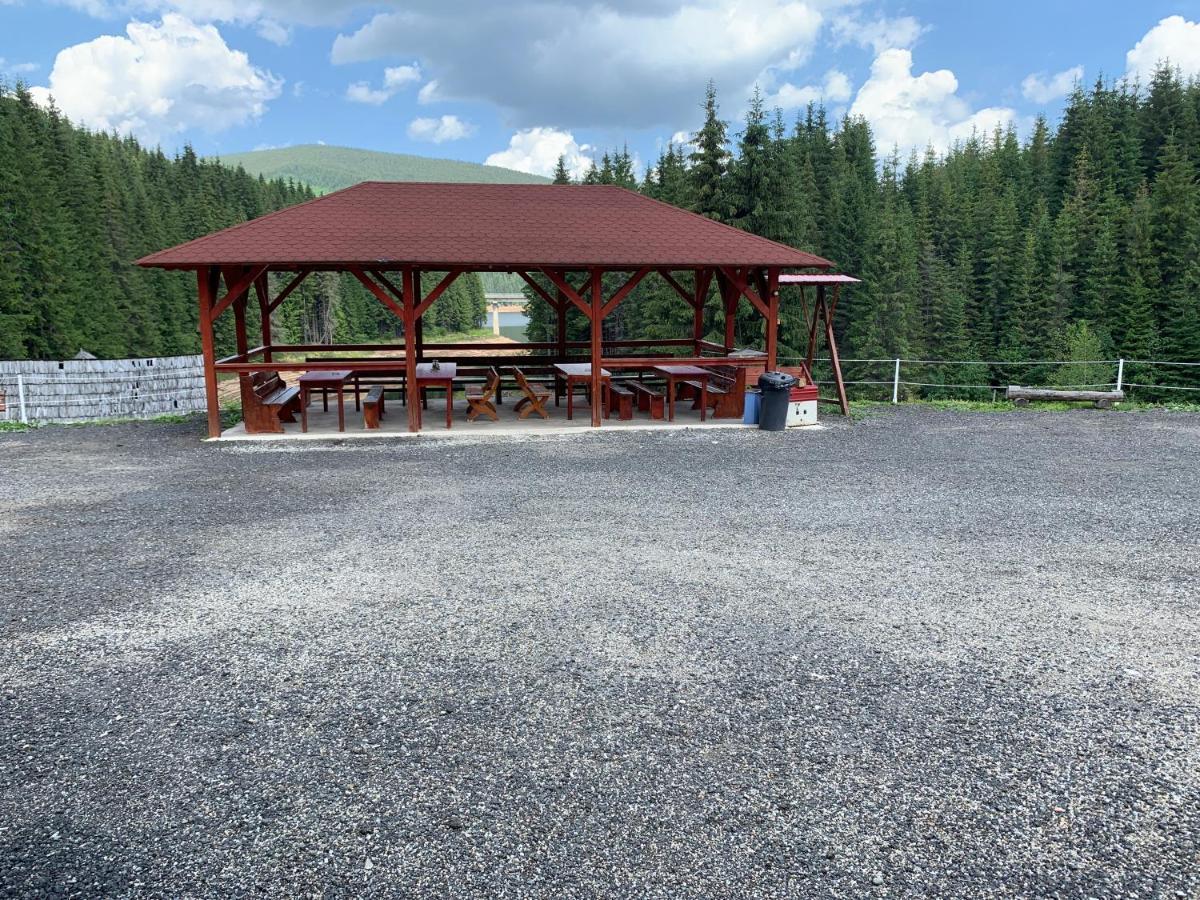 Cabana Cerbul-Oasa-Transalpina Ciban Ngoại thất bức ảnh