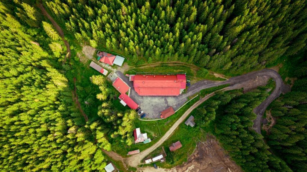 Cabana Cerbul-Oasa-Transalpina Ciban Ngoại thất bức ảnh