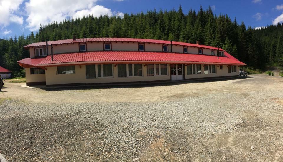 Cabana Cerbul-Oasa-Transalpina Ciban Ngoại thất bức ảnh