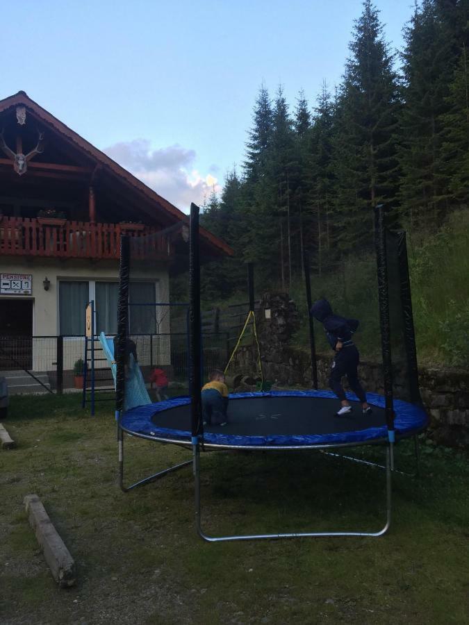 Cabana Cerbul-Oasa-Transalpina Ciban Ngoại thất bức ảnh