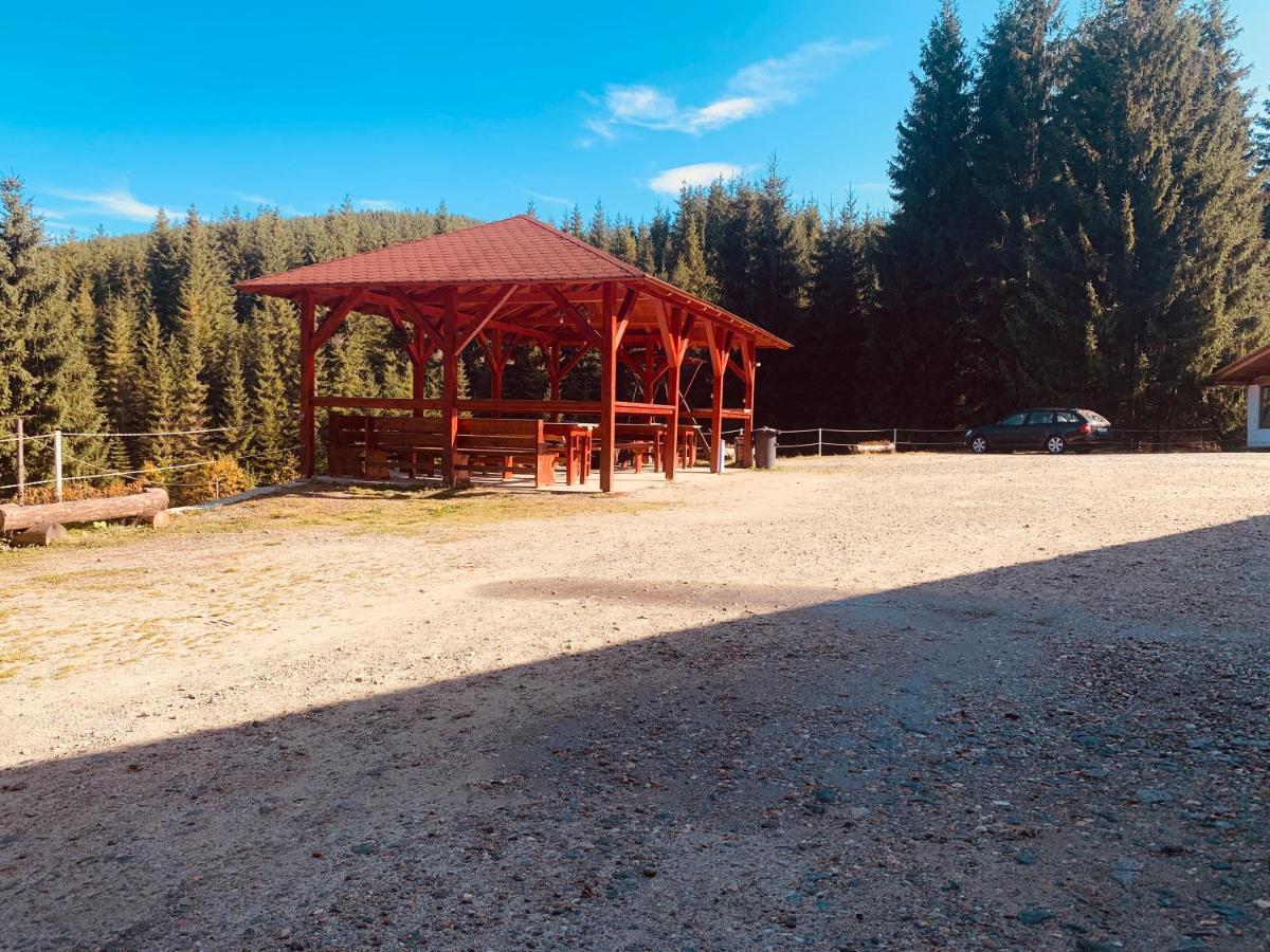 Cabana Cerbul-Oasa-Transalpina Ciban Ngoại thất bức ảnh