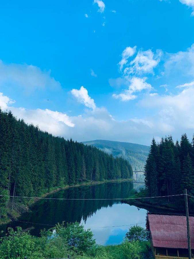 Cabana Cerbul-Oasa-Transalpina Ciban Ngoại thất bức ảnh