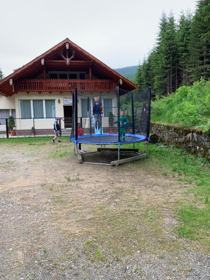 Cabana Cerbul-Oasa-Transalpina Ciban Ngoại thất bức ảnh