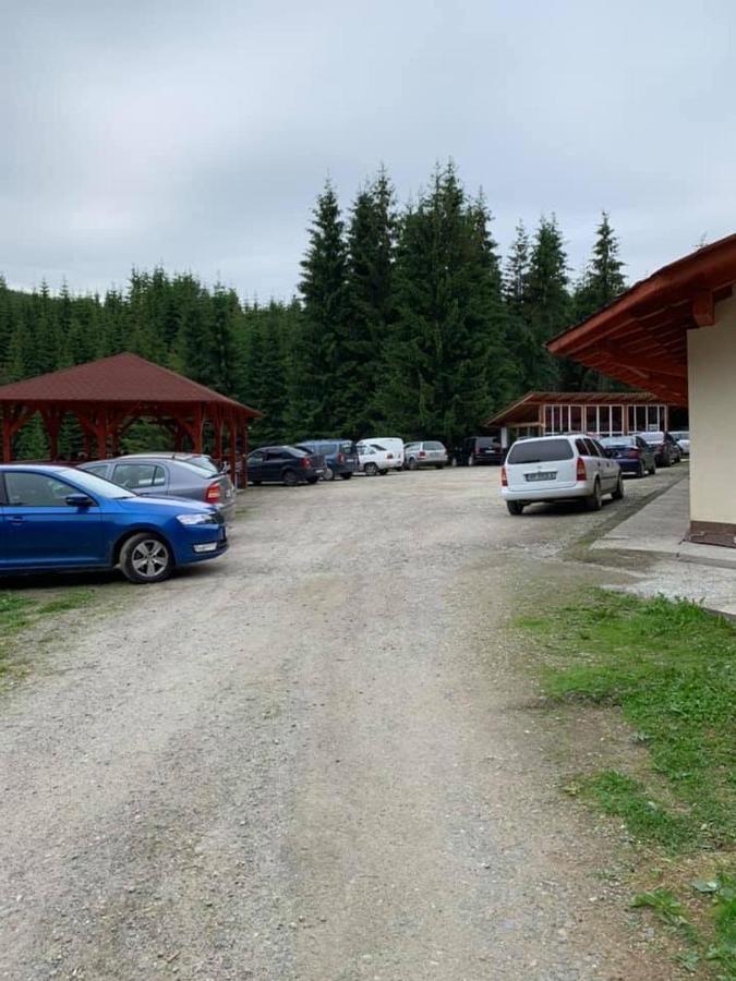Cabana Cerbul-Oasa-Transalpina Ciban Ngoại thất bức ảnh